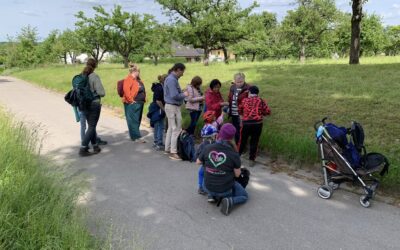 Wildpflanzenführung am 24.5.25