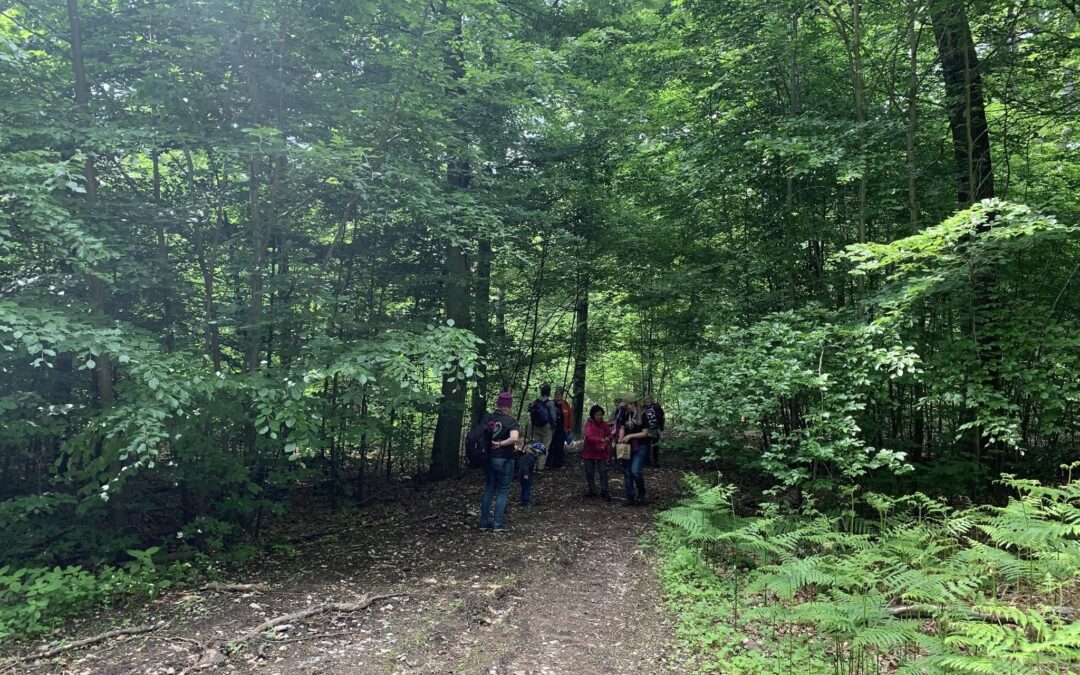Ab in den Wald – Waldbaden mit Janina