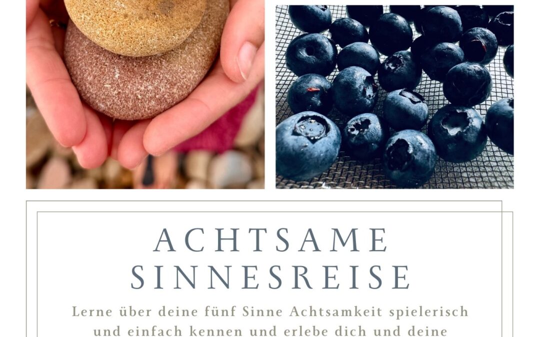 A C H T S A M E S I N N E S R E I S E