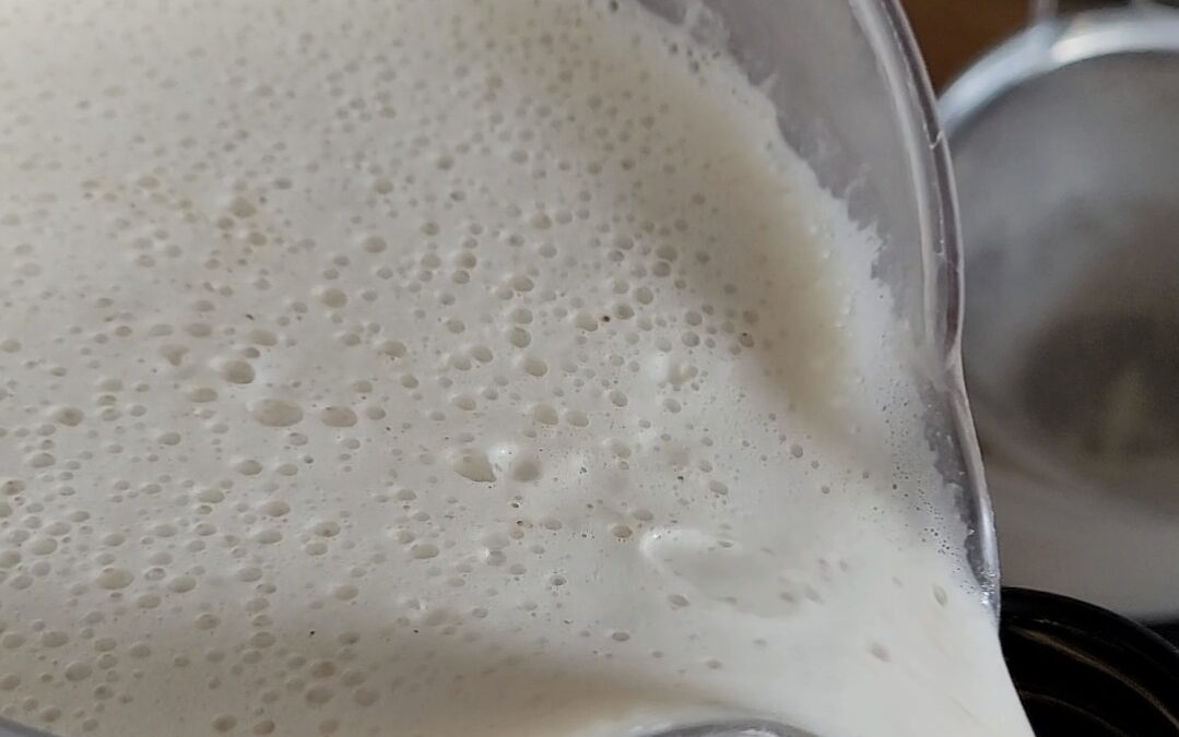 Workshop „Die Pflanzenmilch macht’s“