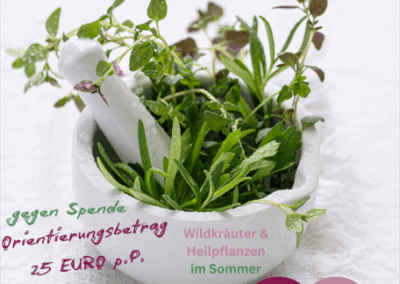 Sommer-Wildpflanzenführung