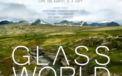 Nachbericht: GLASS WORLD – Kino im KoKi in Esslingen zum World Vegan Day 2025 Film, Live-Musik & Talk am 1. November